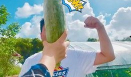 网红们的吃瓜视频从哪找,热门话题背后的真相